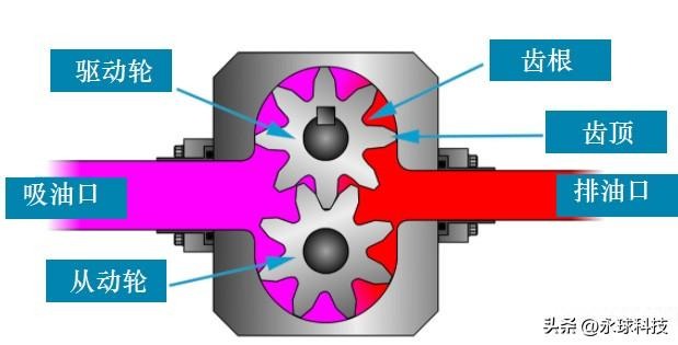 1682996581172348.jpg 2.jpg